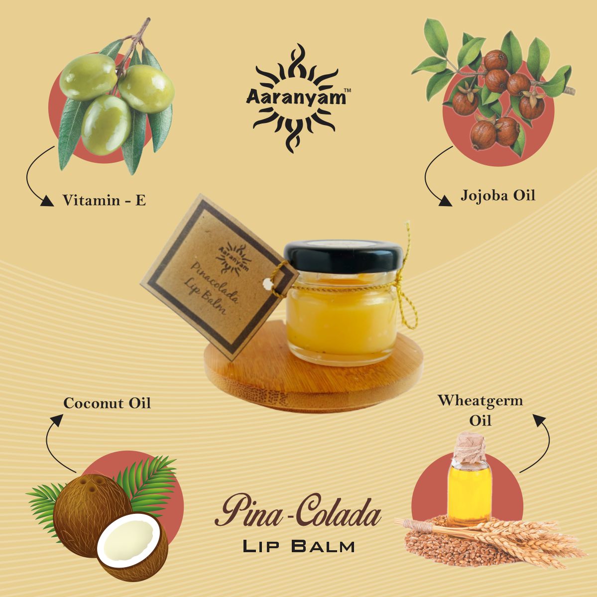 Lip Balm 20 gms- Plastic free Packing- Organic- Free from Harmful chemicals for Men Women , Boys and girls