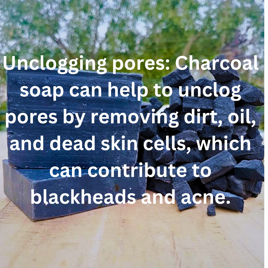 Aaranyam's Activated Charcoal Soap :  (Pack of 2) Provides 99.9% Germ Protection and Deep Cleanses Skin prepared using pure vegetable oils and tea tree essential oil. - 100 gms each